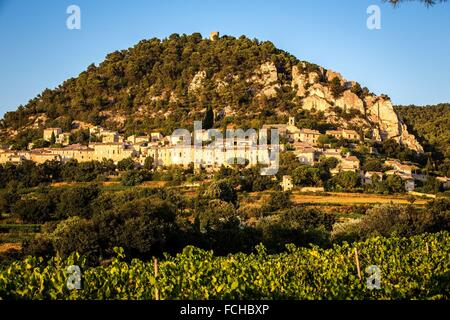 Illustrazione del Vaucluse (84), PACA, PROVENCE ALPES COTES D'AZUR, in Francia Foto Stock