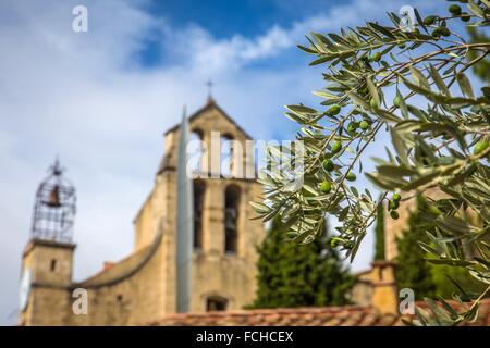 Illustrazione del Vaucluse (84), PACA, PROVENCE ALPES COTES D'AZUR, in Francia Foto Stock