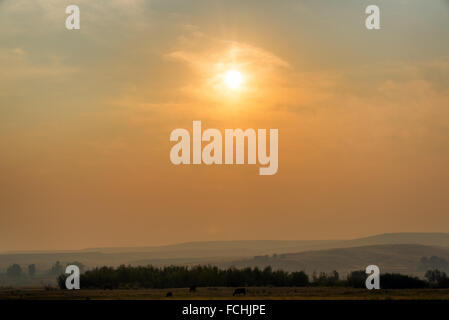 La mattina presto vista di un campo e un vago sunrise a causa di incendi forestali nei pressi di Missoula, Montana Foto Stock