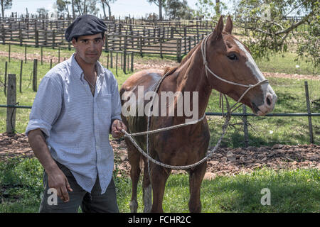 Tacuarembó, Uruguay - Ottobre 25, 2012: Gaucho si prende cura del suo cavallo nel campo. Gaucho è un residente del sud americana Foto Stock