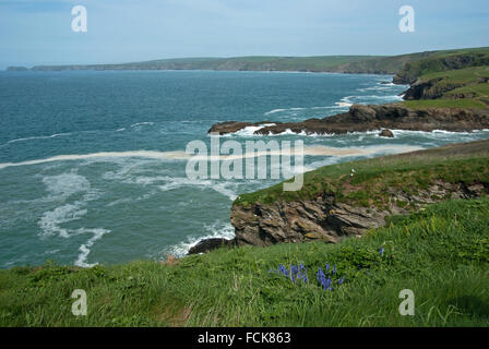 Port Issac Cornovaglia Foto Stock