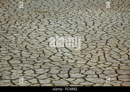 Il terreno asciutto in una zona arida Foto Stock