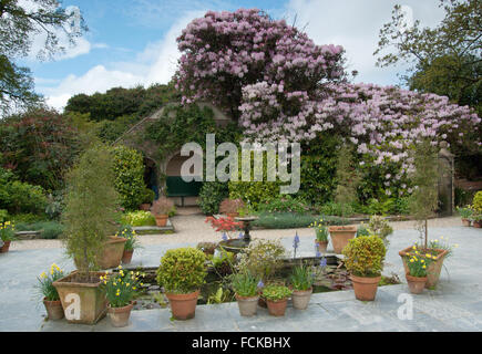 Il Lost Gardens of Heligan Foto Stock