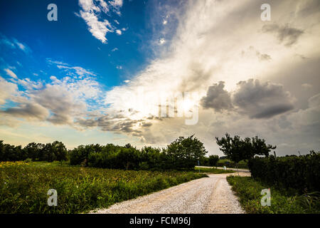 Una tempesta si growin fino oltre i campi di Italia Foto Stock