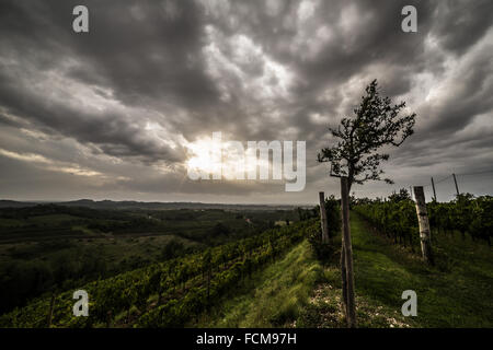 Una tempesta si growin fino oltre i campi di Italia Foto Stock