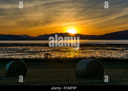 Kessock Bridge tramonto, Beauly Firth, Inverness, Scotland, Regno Unito Foto Stock