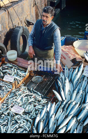 Venditore di pesce o pescivendolo la vendita del pesce sulla banchina di Istanbul Turchia