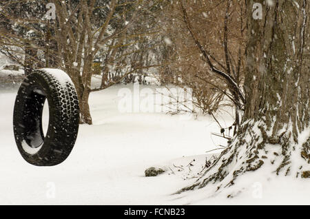 Chappaqua, New York. Il 23 gennaio 2016. Il primo blizzard di 2016 colpisce la costa est degli Stati Uniti nella città di New York sobborgo di Chappaqua, NY in Westchester County con raffiche di vento creando whiteout condizioni e fino a 20 pollici di previsioni neve prima della tempesta di neve martellamento della zona le estremità. Credito: 2016 Marianne Campolongo/Alamy Live News Foto Stock