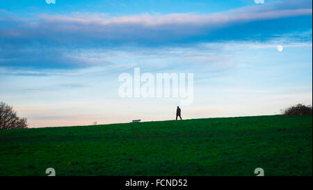 Viste generali al tramonto su Hampstead Heath a Londra Foto Stock