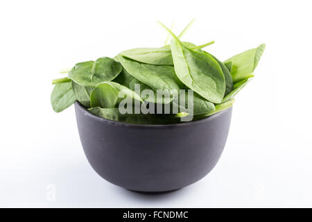 Verde di foglie di spinaci su sfondo bianco Foto Stock