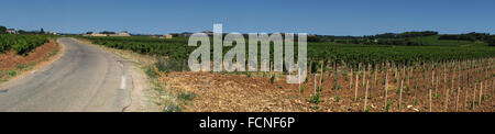 Strada di Chateauneuf du Pape attraverso vigneti Foto Stock