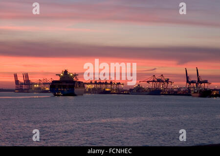 Nave container (a pieno carico) arrivando a Felistowe al tramonto, con gru e dock in background, sunset glow e luci di t Foto Stock