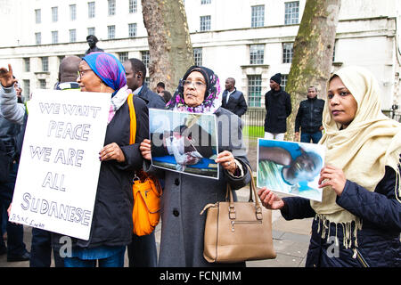 Londra, Regno Unito. 23 gennaio, 2016. Centinaia di sudanesi di tutto il Regno Unito hanno marciato a Londra e ha tenuto una manifestazione al di fuori di Downing Street a Londra per chiedere il governo sudanese di porre fine al conflitto nel Darfur, Sudan. La protesta è stata organizzata dal Darfur Unione UK Credit: Dinendra Haria/Alamy Live News Foto Stock