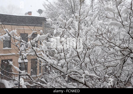 New York, Stati Uniti d'America. 23 Jan 2016. Jonas tempesta di neve new york brooklyn 2016 Credit: simon leigh/Alamy Live News Foto Stock
