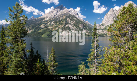 Il Parco Nazionale del Grand Teton, Wyoming Foto Stock