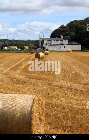 Vista posteriore della struttura Rose public house, Shincliffe, Durham, Inghilterra, oltre il fresco raccolte di campi di grano. Foto Stock