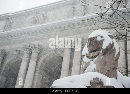 New York, Stati Uniti d'America. 23 gen 2016. Lion statua ricoperta di neve fuori Biblioteca Pubblica di New York in Midtown Manhattan, a New York City durante il blizzard storm Jonas. Il 23 gennaio 2016. Credito: Brigette Supernova / Messa a fuoco esterna foto/Alamy Live News Foto Stock