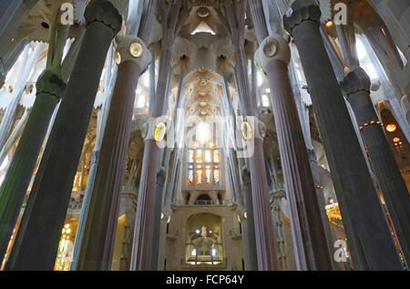 Soffitto della Basilica della Sagrada Familia di Barcellona, Spagna. Foto Stock