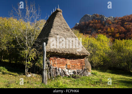 Capanna tradizionale nei Carpazi, Romania Foto Stock