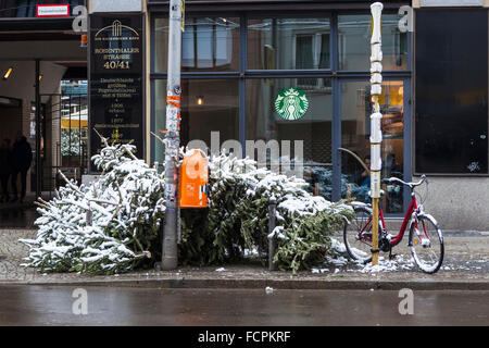 Scartare gli alberi di Natale coperto di neve in inverno, Berlino Mitte Foto Stock