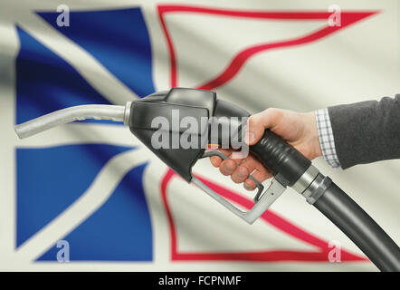 Pompa carburante ugello in mano con territori canadesi e province bandiere sul background - Terranova e Labrador Foto Stock