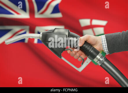 Pompa carburante ugello in mano con territori canadesi e province bandiere sul background - Ontario Foto Stock