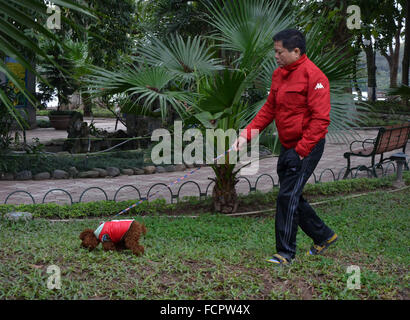 Hanoi, Vietnam. 24 gen 2016. Un residente locale passeggiate con il cane in un parco in Hanoi, capitale del Vietnam, Gennaio 24, 2016. Una forte ondata di freddo ha ampliato per quanto riguarda il centro sud della località in Vietnam, portare pioggia per la maggior parte delle aree lungo la costa centrale. In Hanoi, la temperatura a 13:00 ora locale di Domenica è stato a 6,6 gradi Celsius. © Yan Jianhua/Xinhua/Alamy Live News Foto Stock