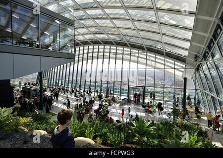 Sky Garden presso il walkie-talkie, 20 Fenchurch Street, City of London, Regno Unito Foto Stock