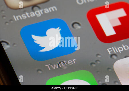 Twitter Icona app su un iphone 6 schermo Foto Stock