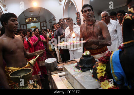 Sumatra, Indonesia. 24 gen 2016. Un indù devoto offre preghiere per la statua del dio come parte di un rituale di purificazione prima del suo pellegrinaggio durante il festival di Thaipusam, in Shri Subramaniam Nagarathar a Medan, nel nord di Sumatra, Indonesia. Domenica 24 Gennaio, 2016. Thaipusam è un importante festival religioso celebrato per la maggior parte persone indù rispetto Signore Murugan, chi è nato sulla luna piena, una celebrazione di adempiere ai voti e di espiare e chiedere perdono come una forma di rispetto, di cercare la benedizione, soddisfano le promesse e offerte grazie grazie a Dio murga. Credito: Ivan Damanik/Alamy Live News Foto Stock