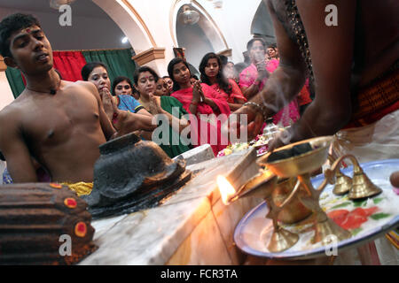 Sumatra, Indonesia. 24 gen 2016. Un indù devoto offre preghiere per la statua del dio come parte di un rituale di purificazione prima del suo pellegrinaggio durante il festival di Thaipusam, in Shri Subramaniam Nagarathar a Medan, nel nord di Sumatra, Indonesia. Domenica 24 Gennaio, 2016. Thaipusam è un importante festival religioso celebrato per la maggior parte persone indù rispetto Signore Murugan, chi è nato sulla luna piena, una celebrazione di adempiere ai voti e di espiare e chiedere perdono come una forma di rispetto, di cercare la benedizione, soddisfano le promesse e offerte grazie grazie a Dio murga. Credito: Ivan Damanik/Alamy Live News Foto Stock