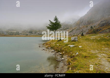 Cornisello vedere in den Dolomiten - Cornisello lago nelle Dolomiti, le Alpi Foto Stock