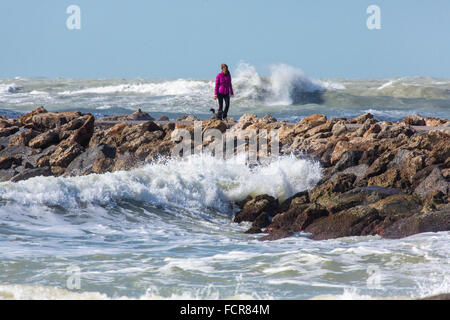 Donna cane a camminare con il Golfo del Messico tempesta le onde a Molo Sud in Florida Venezia Foto Stock