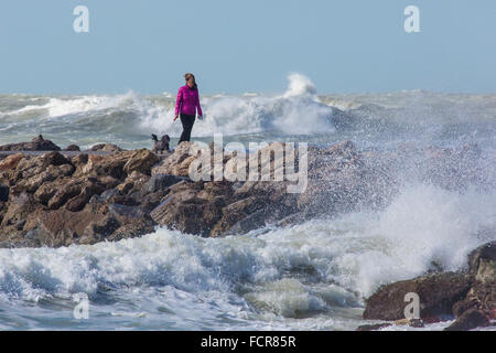 Donna cane a camminare con il Golfo del Messico tempesta le onde a Molo Sud in Florida Venezia Foto Stock