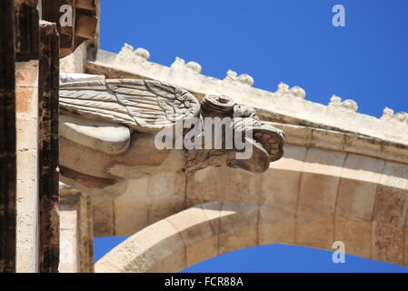 Gargoyle nella cattedrale di Palma de Mallorca, Spagna Foto Stock