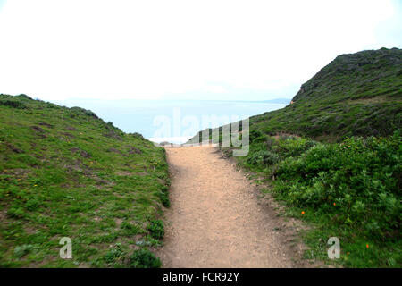 Alamere Falls sentiero escursionistico e la fascia costiera in Point Reyes National Seashore a Marin County, California Foto Stock