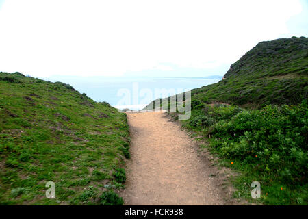 Alamere Falls sentiero escursionistico e la fascia costiera in Point Reyes National Seashore a Marin County, California Foto Stock