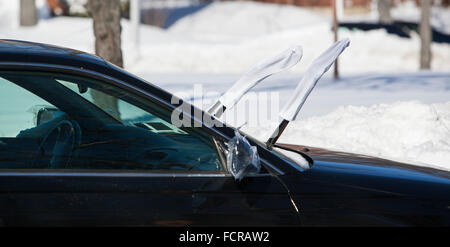 New York, Stati Uniti d'America. 24 gen 2016. La tempesta di neve Jonas era la seconda forte temporale nella storia della città. Atbthe foto: persone la pulizia della neve intorno alla sua auto e case. Credito: Alex Potemkin/Alamy Live News Foto Stock