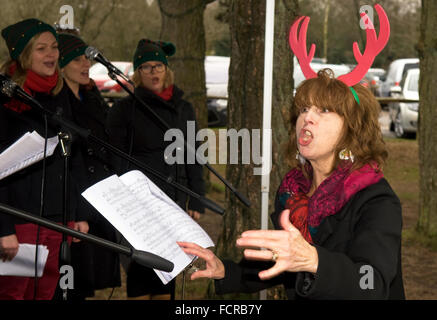 Donna condurre "Il Piccolo Coro" durante un 2015 Christmas Carol, servizio Hindhead, Surrey, Regno Unito. Foto Stock