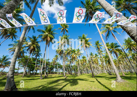 BAHIA, Brasile - MARZO 18, 2015: bandiera olimpica bunting si blocca davanti ad un grande boschetto di palme. Foto Stock