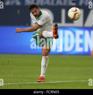 Gelsenkirchen (Germania). Il 24 gennaio, 2016. Il calcio Bundesliga, FC Schalke 04 vs Werder Brema, Gelsenkirchen, Germania, 24.01.2016: Claudio Pizarro (Brema). Credito: Juergen schwarz/Alamy Live News Foto Stock