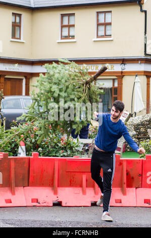 Leap, West Cork, Irlanda. Il 24 gennaio, 2016. Un albero di Natale di gettare la concorrenza si svolge ogni anno in salto. Matteo O'Neill, dal salto, getta un albero durante il concorso. Credito: Andy Gibson/Alamy Live News Foto Stock