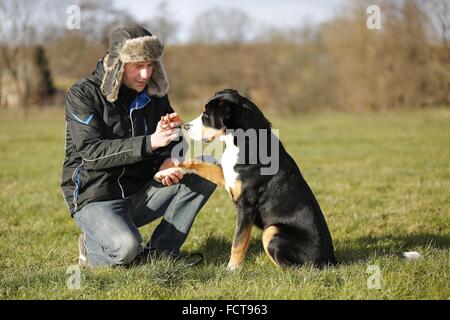 L uomo e la maggiore Swiss Mountain Dog Foto Stock