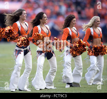 Denver, Colorado, Stati Uniti d'America. 24 gen 2016. Denver Broncos Cheerleaders intrattenere la folla durante la 2a. Mezza a autorità sportive Field at Mile High domenica pomeriggio. I Broncos battere i patrioti 20-18. Credito: Hector Acevedo/ZUMA filo/Alamy Live News Foto Stock