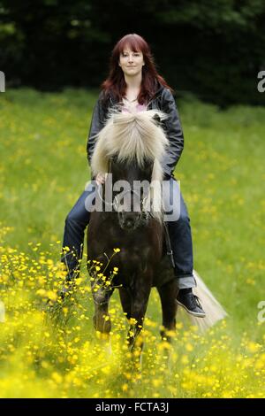La donna corse di cavalli islandesi Foto Stock