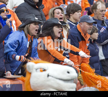 Denver, Colorado, Stati Uniti d'America. 24 gen 2016. Appassionati di cavalli selvaggii tifare per la loro squadra durante la 1a. Mezza a autorità sportive Field at Mile High domenica pomeriggio. I Broncos battere i patrioti 20-18. Credito: Hector Acevedo/ZUMA filo/Alamy Live News Foto Stock