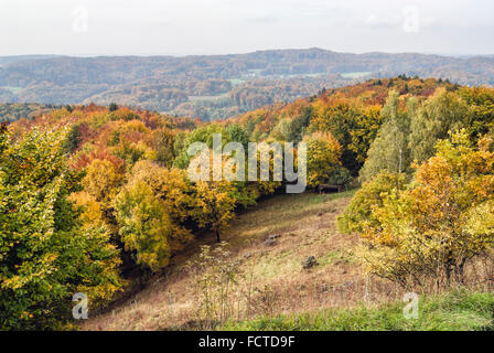 Paesaggio autunnale al Parco Naturale dei Monti Frankoniani, Baviera, Germania Foto Stock