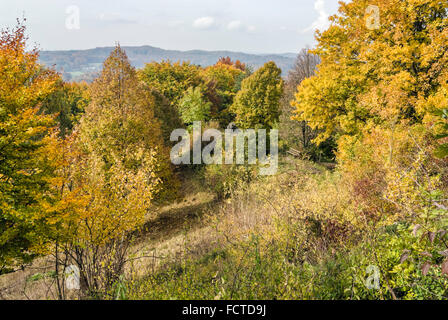 Paesaggio autunnale al Parco Naturale dei Monti Frankoniani, Baviera, Germania Foto Stock