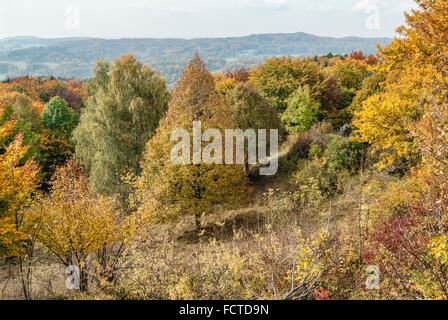 Paesaggio autunnale al Parco Naturale dei Monti Frankoniani, Baviera, Germania Foto Stock