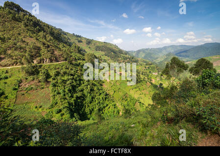 Paesaggio con terreni agricoli, Bwindi National Park nel sud Uganda, Africa Foto Stock